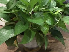 -牛班音乐学校(晶融汇购物中心店)