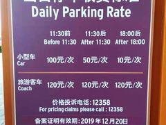 -迪士尼乐园停车场