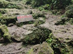 -海口火山口国家地质公园