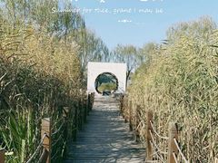 景点-稻香湖景欢乐岛温泉城堡