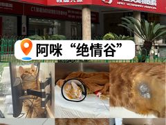 -御宝贝24h宠物医院·转诊中心·CT核磁血透中心(厦门总院)