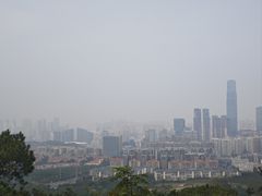 -南山植物园
