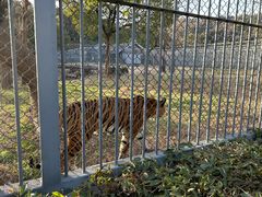 -苏州上方山国家森林公园