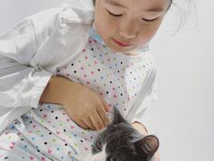 -COLOR PETS 撸猫馆·购猫·猫咖(长风大悦城店)