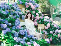 -上海鲜花港