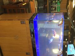 -合合大冷面(湖南店)