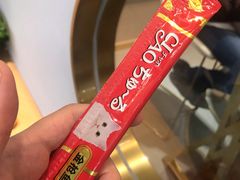 -飞行喵MR PILOT|猫舍·猫咖(静安大融城店)