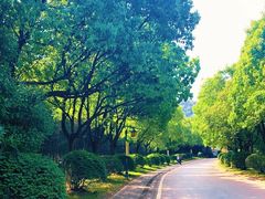 -南京市江宁方山