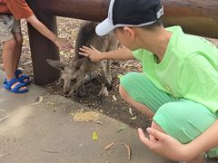 -梦幻世界游乐园