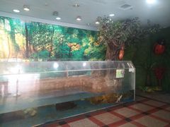 -上海大自然野生昆虫馆(东方明珠·爬宠昆虫探索中心)