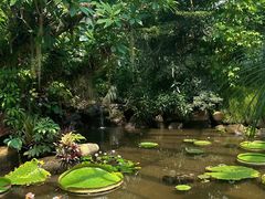 -昆明植物园