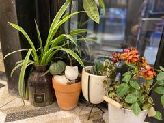 -炒码先生·韩餐炸鸡披萨(西塔店)