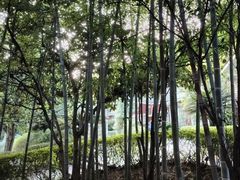 -故乡缘·香格里拉山庄(冷竹路店)