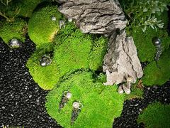 -深圳珠宝博物馆