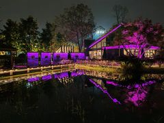 -成飞公园