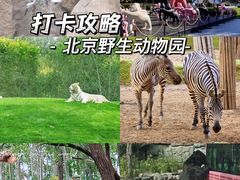 -北京野生动物园
