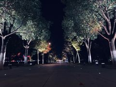 -映月湖中央公园