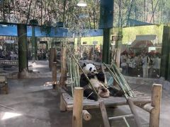 -栾川竹海野生动物园