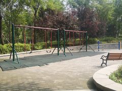 -大兴滨河森林公园