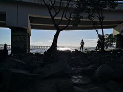 -宝安西湾红树林湿地公园