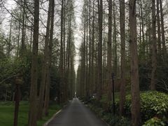 -上海怡沁园度假酒店