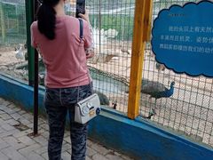 -武汉紫薇都市田园