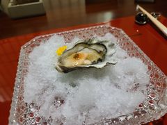 日本岩蚝-虎吟こぎん