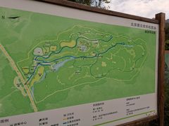 -欢乐松鼠谷