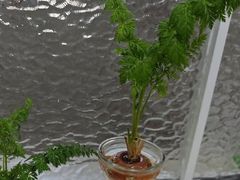 -秋水广场
