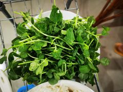 -朝伟清真铜瓢牛肉馆(三十年老·店)