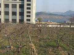 -河口景区