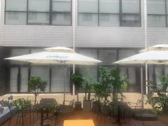 -Seesaw Coffee(上生新所店)