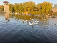 -西安汉城湖景区