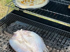 -田园东方蜜桃村的田野营地