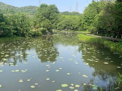 -八卦田遗址公园