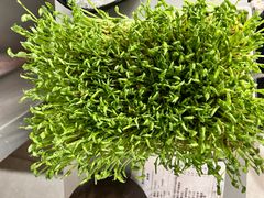 -湊湊火锅·茶憩(南京万象天地店)
