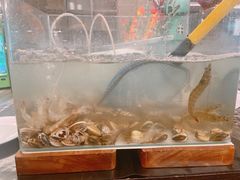 -步步高福朋喜来登·宜客乐西餐厅