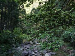 -雁荡山大龙湫景区