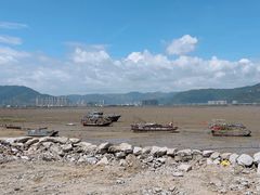 -北岐滩涂