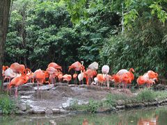 -野生动物园-停车场
