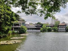 -荔湾湖公园