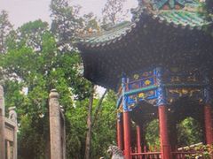 -关林