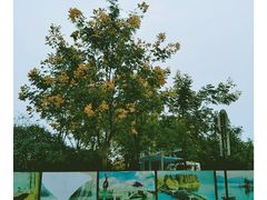 -东湖落雁景区