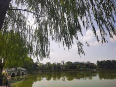 -武汉动物园