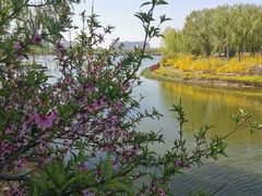 -大兴滨河森林公园