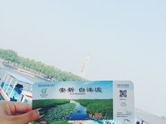 -白洋淀景区
