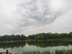 -北坞公园