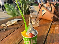 -Salud撒露欧洲冻酸奶(蓝色港湾店)