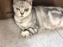 -FAELING PETS美天灵宠物(富力广场店)
