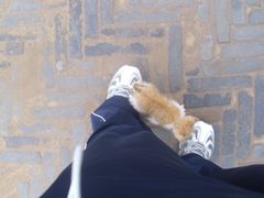 DSCI3237-榆次老城